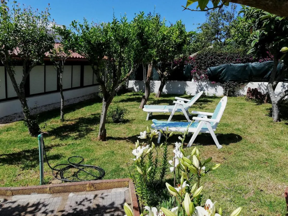 Casa Rural Limon Y Sol Sauzal Nyaraló